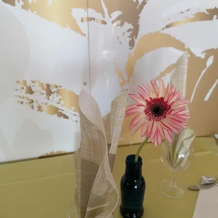 Otel Silvana Bellaria-Igea Marina