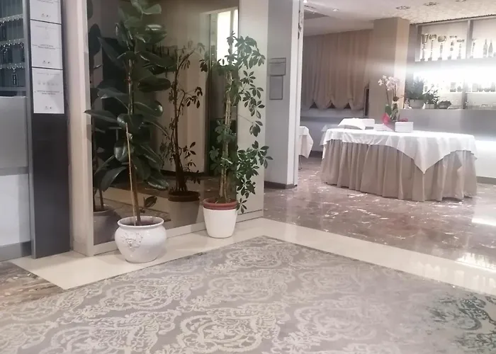 Silvana 3* Bellaria-Igea Marina