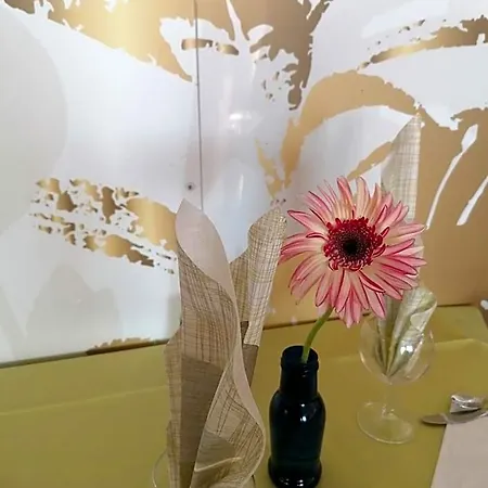 Hotel Silvana Bellaria-Igea Marina