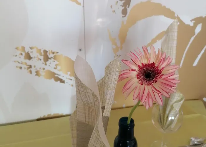 Hotel Silvana Bellaria-Igea Marina